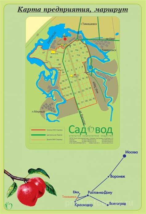 Садовод — производитель высококачественных плодов в Тимашевске