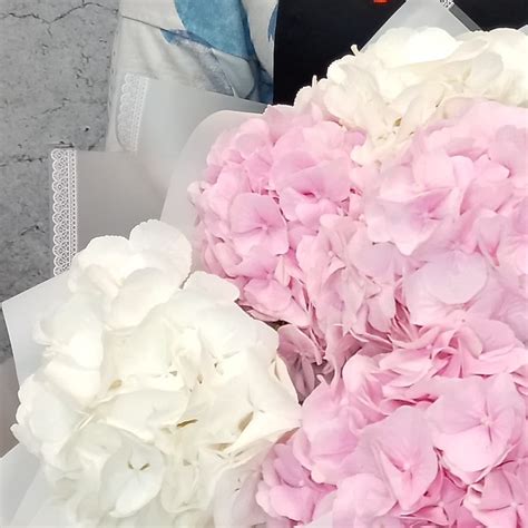 Букет из 7 гортензий – купить красивый подарок с доставкой по Москве