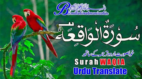 Surah Waqia Urdu Terjma Ep By Qari Noman Ahmad Today