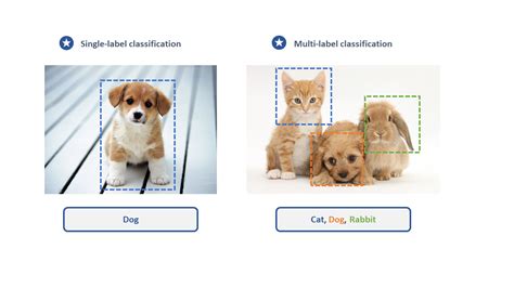 Image Annotation Anatopai