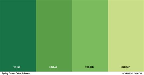 Spring Green Color Scheme - Palettes - SchemeColor.com