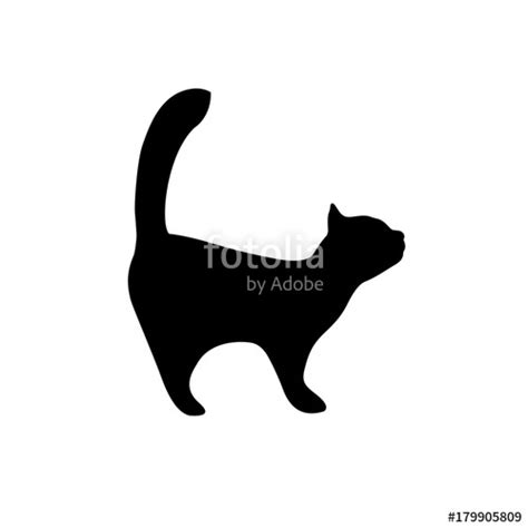 Kitten Silhouette Vector at Vectorified.com | Collection of Kitten ...