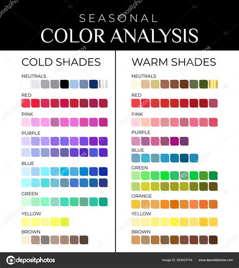 Seasonal Color Analysis Color Palette Cold Warm Color Shades Stock