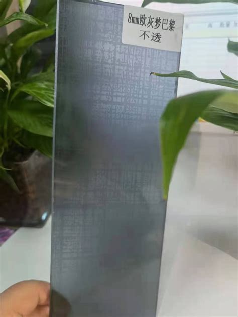 Decorative Acid Etched Tempered Glass Shower Door Panels China Acid