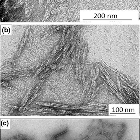 Pdf Sugarcane Bagasse Fiber And Its Cellulose Nanocrystals For Polymer Reinforcement And Heavy