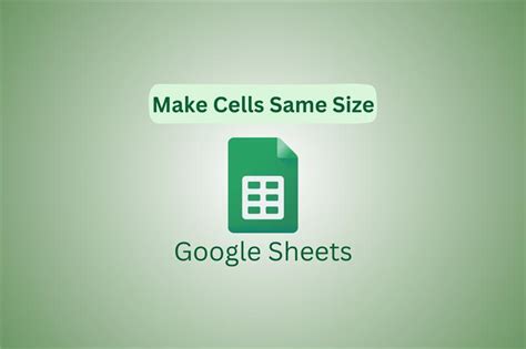 How To Make Same Size Cells In Google Sheets TechCult