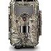 Amazon Bushnell Mp Trophy Cam Hd Aggressor No Glow Trail Camera