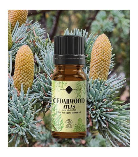 Cedarwood Atlas Organic Essential Oil Ellemental