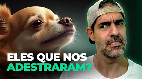 Como os CÃES viraram NOSSOS MELHORES AMIGOS YouTube