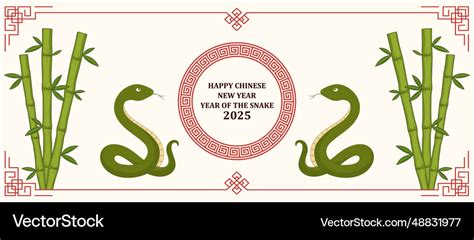 Happy chinese new year 2025 festive background Vector Image