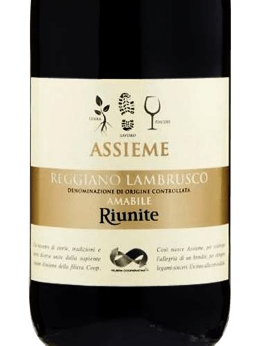 Assieme Reggiano Lambrusco Amabile Vivino