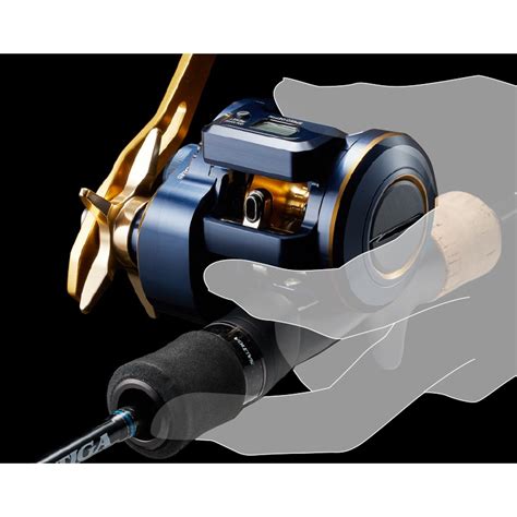 Jual Reel Daiwa Saltiga Ic 21 300l Daiwa 21 Saltiga Ic 300 L Shopee