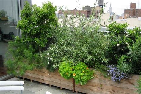 1000+ images about Balcony plants on Pinterest | The balcony, Window ...