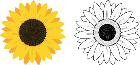 Printable Sunflower Cut Out Template Printable Jd