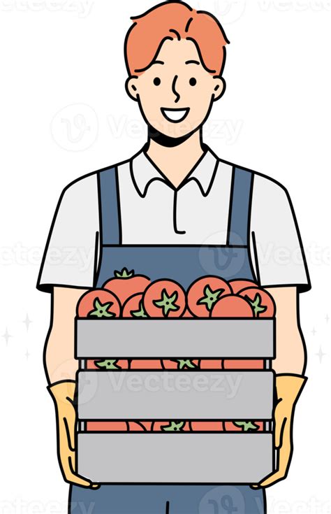 Smiling Male Farmer With Box Of Tomatoes Png