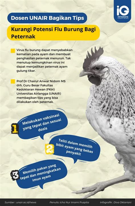 Infografik Tips Kurangi Risiko Flu Burung Di Peternak