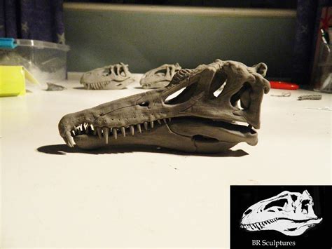 Spinosaurus skull 1/15 scale by Benross91 on DeviantArt