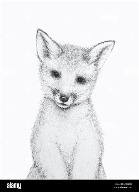 Cute Little Fox. Pencil Draw. Nursery Wall Art. Kids Art Gift. Forest ...