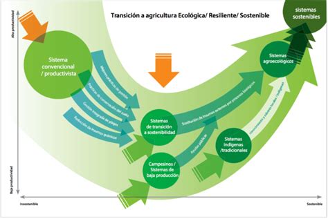 Contribuciones Cruzadas De La Agricultura Ecológica A La Transición