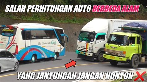 Salah Perhitungan Auto Berbeda Alam Aksi Ngeblong Bikin Panik Baby Bus