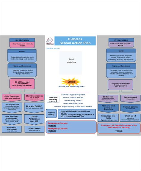 14 Diabetes Action Plan Templates Pdf Word