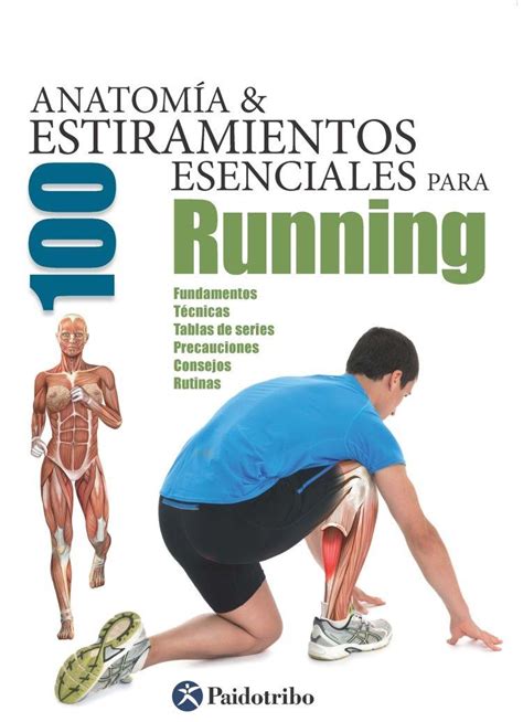 Anatom A Estiramientos Esenciales Para Running Fundamentos