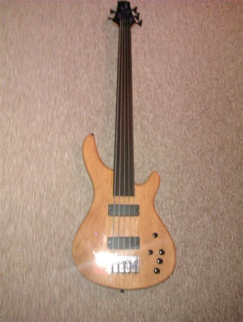 5 String Custom Fretless Bass Guitar | in West Hampstead, London | Gumtree