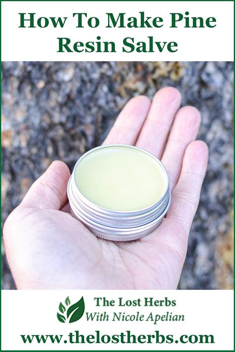 How To Make Pine Resin Salve Salve Recipes Household Remedies Salve