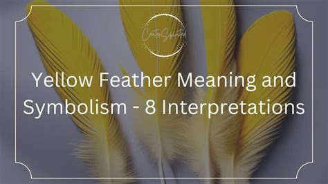 Black Feather Meaning And Symbolism