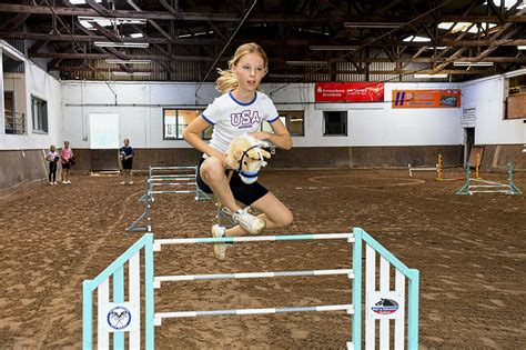 Hobby Horsing Das Gl Ck Der Erde Sind Steckenpferde Land Forst