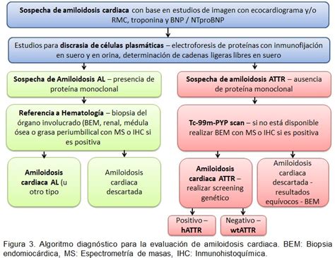 Evaluación y Tratamiento de Pacientes con Amiloidosis Cardiaca