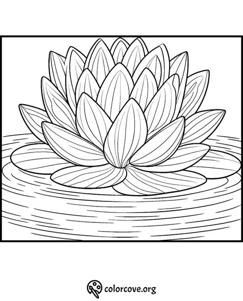 24 Free Lotus Flower Coloring Pages The Color Cove