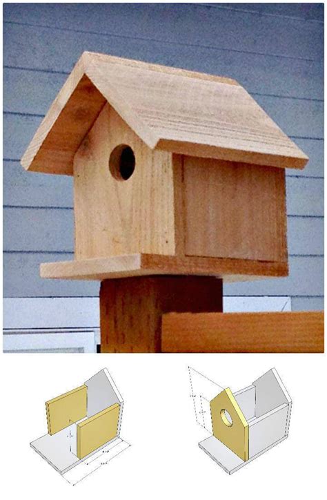 How To Build A Birdhouse Easy Diy Birdhouse Ideas Diy Crafts