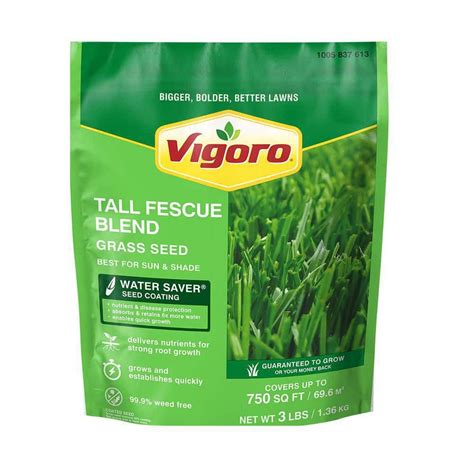 Vigoro 3 Lbs Tall Fescue Grass Seed Blend With Water Saver Seed