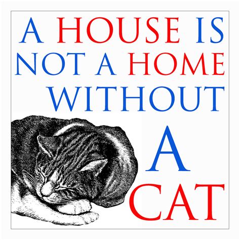 Quotes Love My Cat. QuotesGram