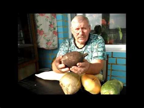 Редька ЗИМНЯЯ ЧЕРНАЯ - YouTube