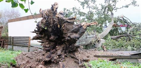 Tempête Ciaran Une Première Enveloppe De 50 Millions Deuros Pour Les