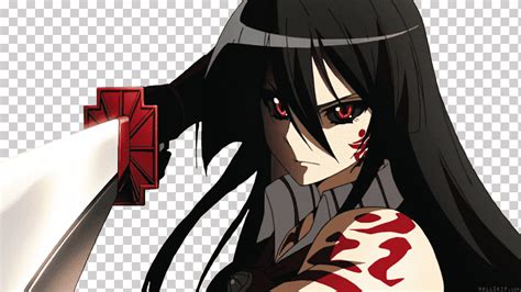 Akame Ga Matar Manga Anime Matar Cg Ilustraciones Pelo Negro Fondo