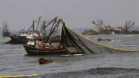 La Pesca Comercial Revista Aire Libre