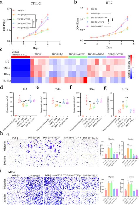 Y D Counteracted Tgf Induced Inhibition Of T Cell Proliferation