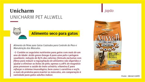 Um Olhar Sobre As Inovações Regionais Em Pet Foods Em 2020 E Outras