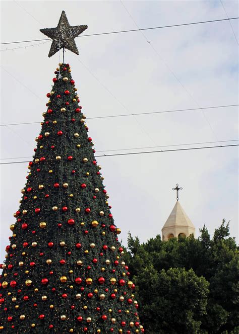 Bethlehem Christmas Tree Photograph by Munir Alawi | Fine Art America