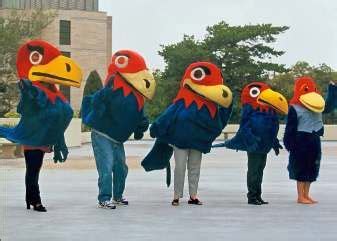 vintage jayhawk mascot lineup | Kansas jayhawks, Mascot, Jayhawks