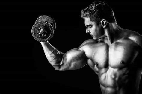 Download Black And White Stock Hd Bodybuilders Wallpaper