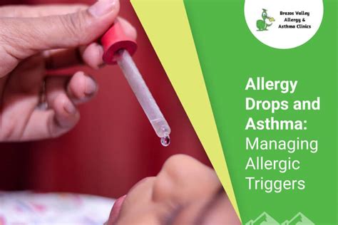 Allergy Drops And Asthma Managing Allergic Triggers