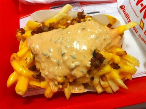 How To Make Animal Style Fries Haynes Copy Me That