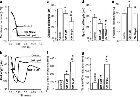 Concentration Dependent Effects Of Om On Action Potential Configuration