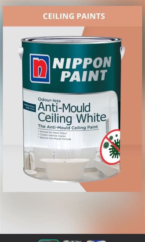 Nippon Paint Anti Mould Ceiling White Tv Home Appliances Other Home