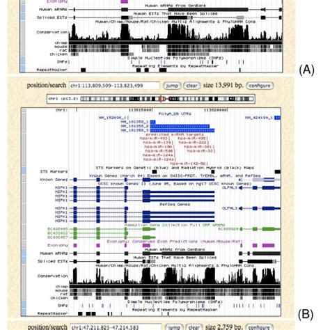 Examples Of Target Classes Screenshots From The Ucsc Genome Browser