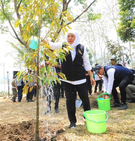 Lawan Perubahan Iklim Gubernur Khofifah Gencarkan Aksi Tanam Pohon